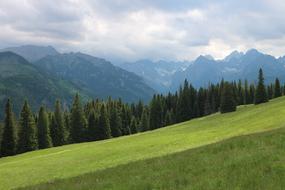 Poland Rusinowa Logs Mountains