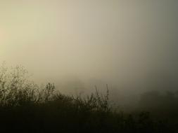 Fog Sunset Trasluz