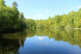 a beautiful lake hidden in the woods