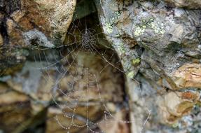 cobwebs on rocks landscape