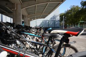 Row of the colorful bikes, near the Senior Middle School, in sunlight, near the colorful trees