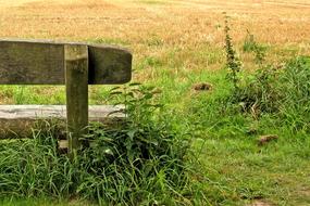 Bank on Meadow in Park