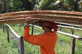 Vietnamese carrier on the head