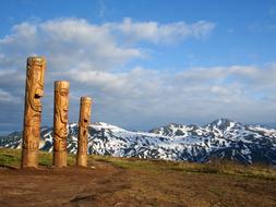 Wooden Idol Sculptures