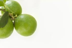 Lemon Health Vitamin C green