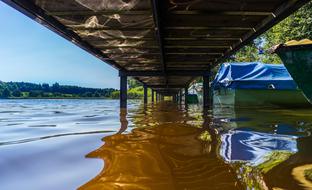 Nature Landscape Web