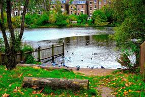 Water Green Spring