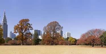 City Autumn