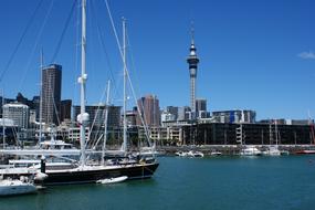 Auckland New Zealand