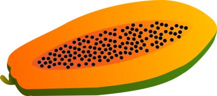 Papaya drawing with paints