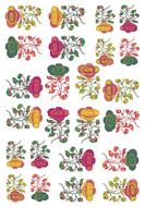 flowers roses pattern background image