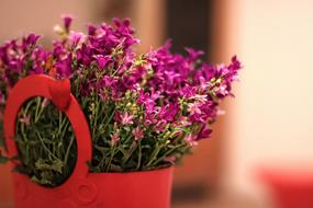 big beautiful bouquet