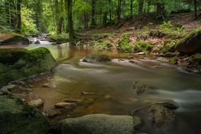 long river by the rocks in the forest