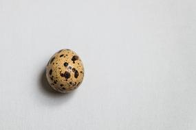 tasty little egg