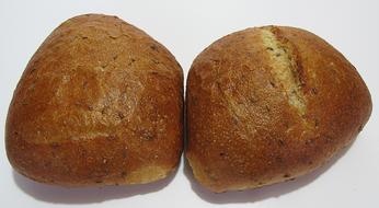 toasted bun