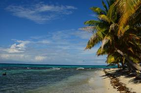 Beach Belize Caribbean