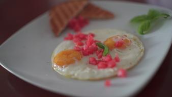 delicious fried egg