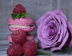 Raspberry Macarons