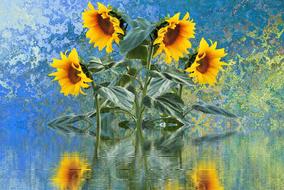 Sunflower Summer Sun