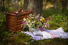 Book Flowers Forest
