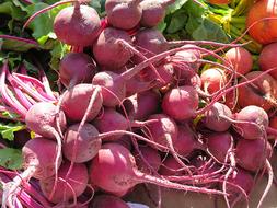 Diet pink beets