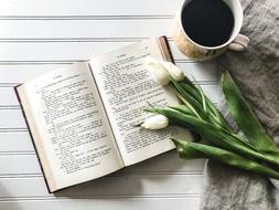 white tulips lie on a book
