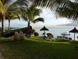 Gun Sea Palm Trees