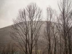 Mountain Highland Sky