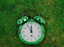 The Eleventh Hour Nature