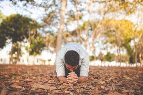 a man kneeling on fall leaves