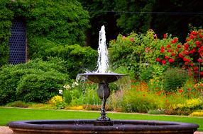 Water Fountain Games in garden