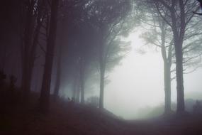 Mountain Highland Foggy
