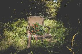 Flowers Chairs Plants