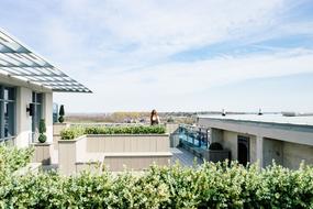 Architecture balcony plants