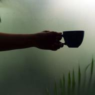 Silhouette of a person's hands, holding cup, at foggy background