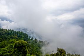 landscape of forest reaching clouds