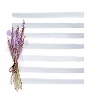 floral plant lavender stripe