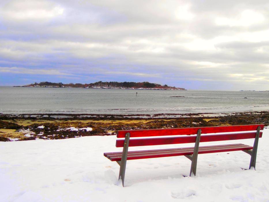 bench on white snow with lake view