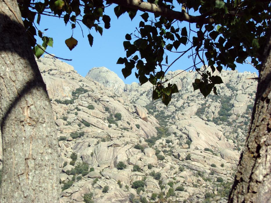 the mountains in the trees are beautiful