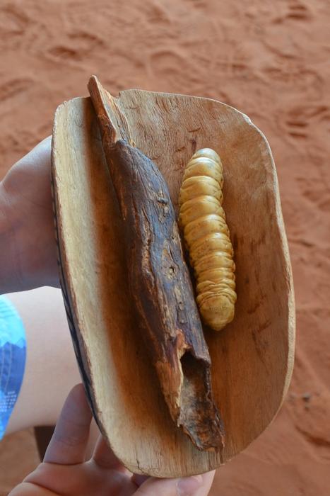exotic australian dish
