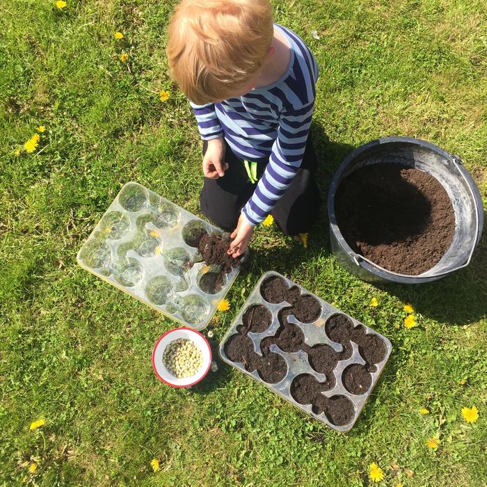 have seeds sowing child