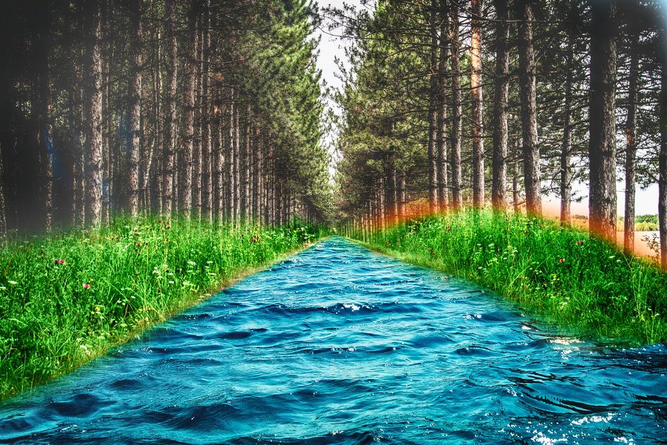 blue river by the forest