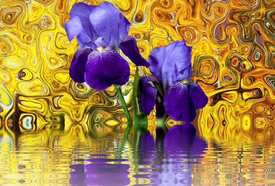 Iris Flower Blossom in water digital art