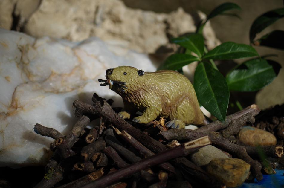 decoration in the form of a toy beaver on the dam