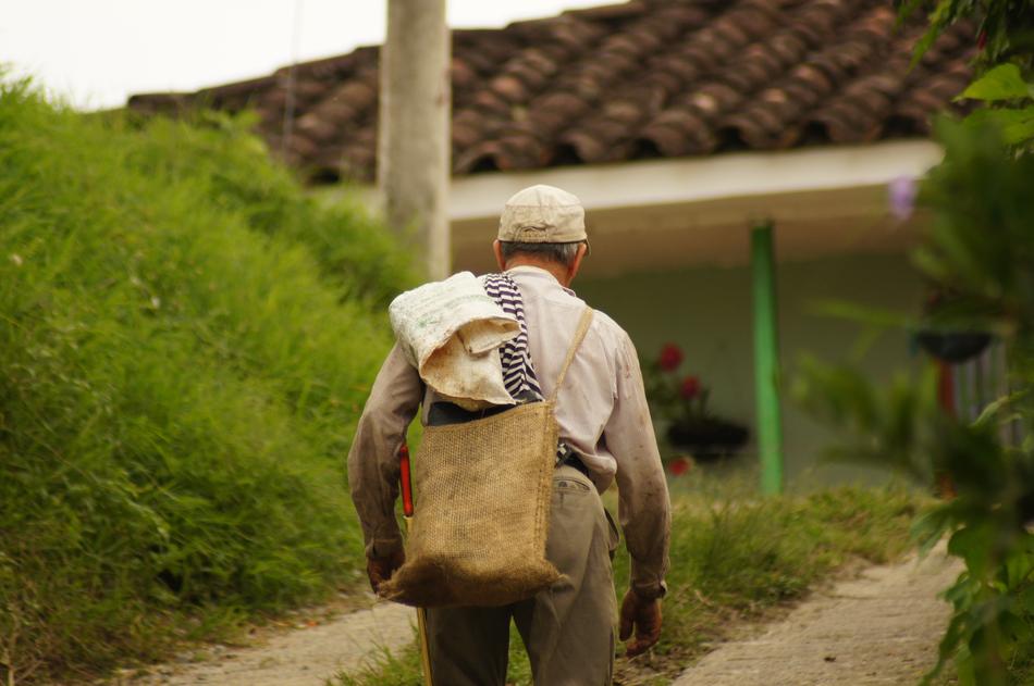 People green Field