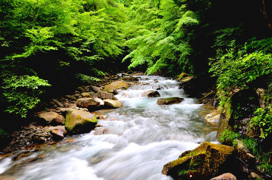 white waterfall waves in green grasses