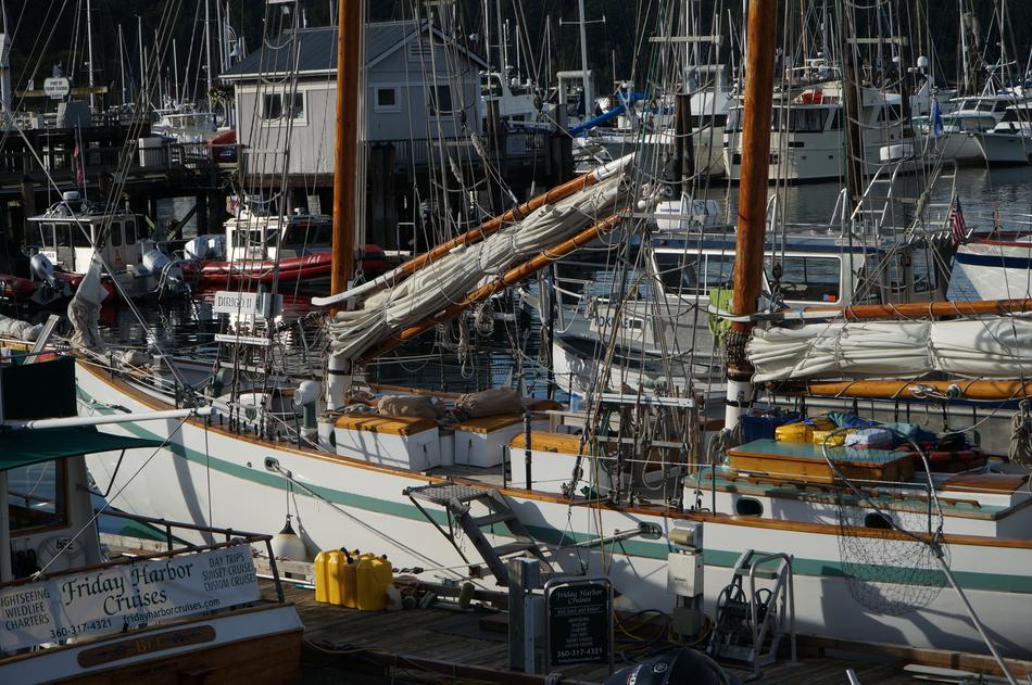 Boat Harbour Water