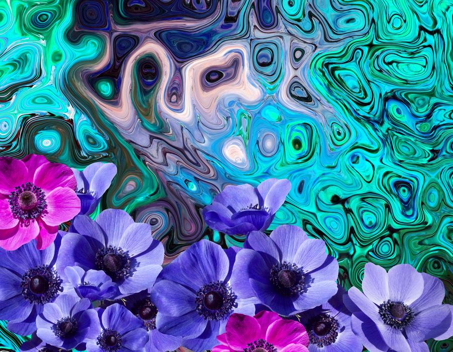 summer anemone blossom digital art