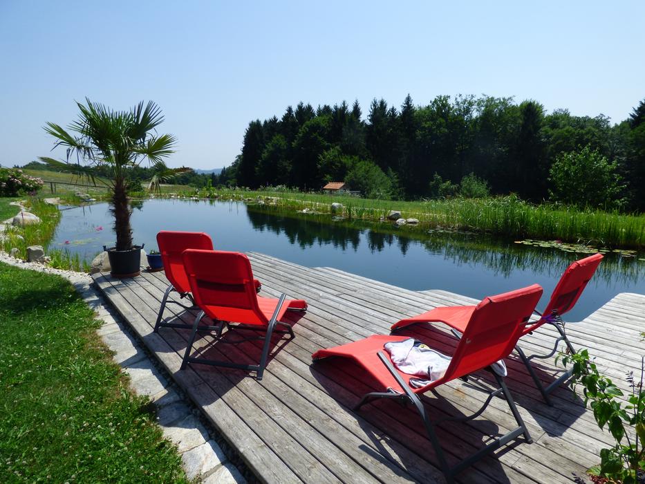 Swimming Pond Paradise