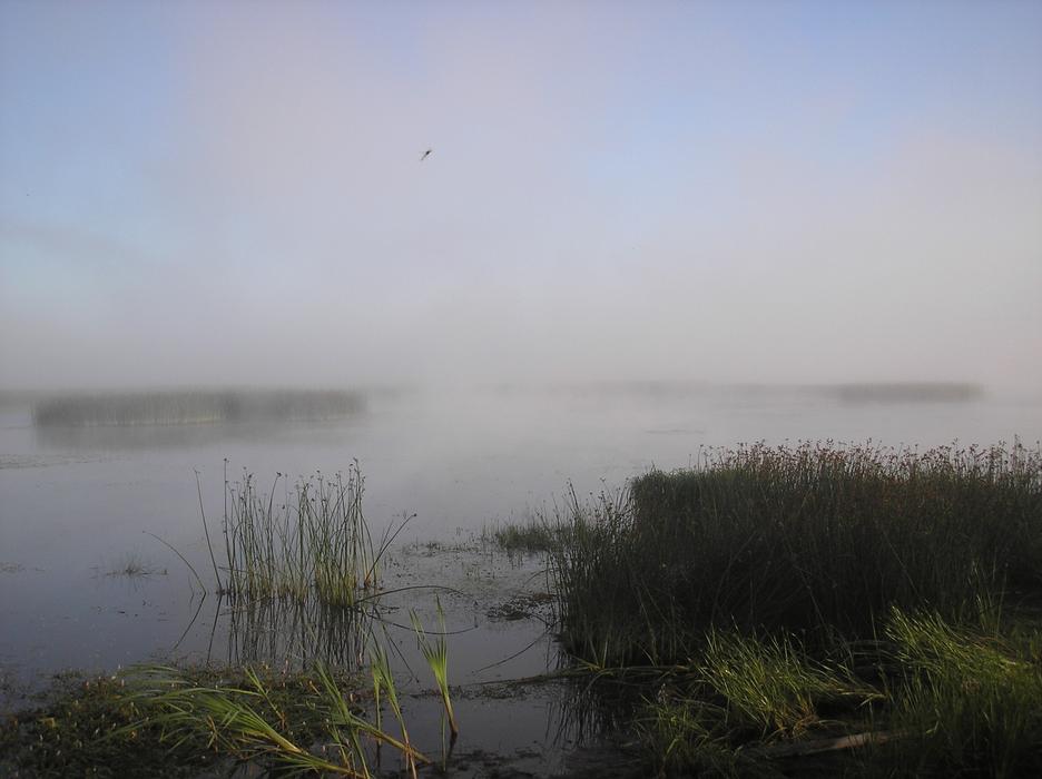 River Foggy Beach